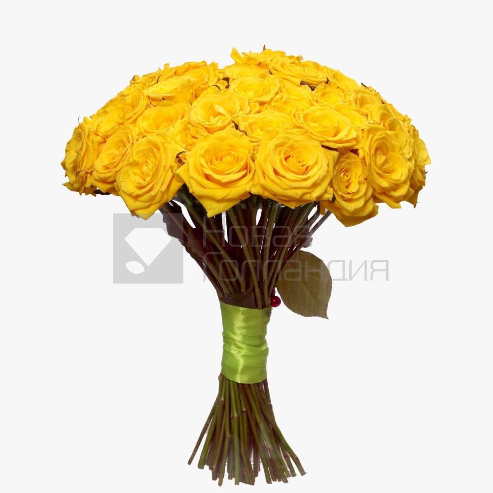 Букет 51 желтая роза 50 см.