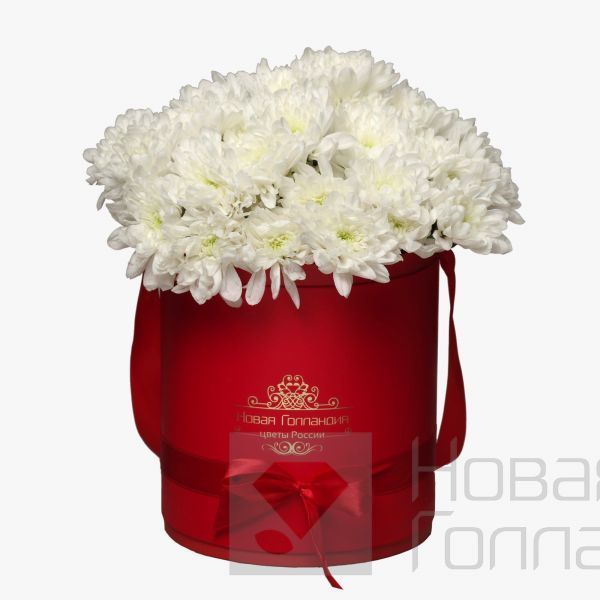 7 Белых хризантем в красной шляпной коробке №99