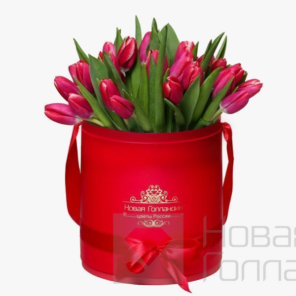 35 малиновых тюльпанов в красной шляпной коробке №229